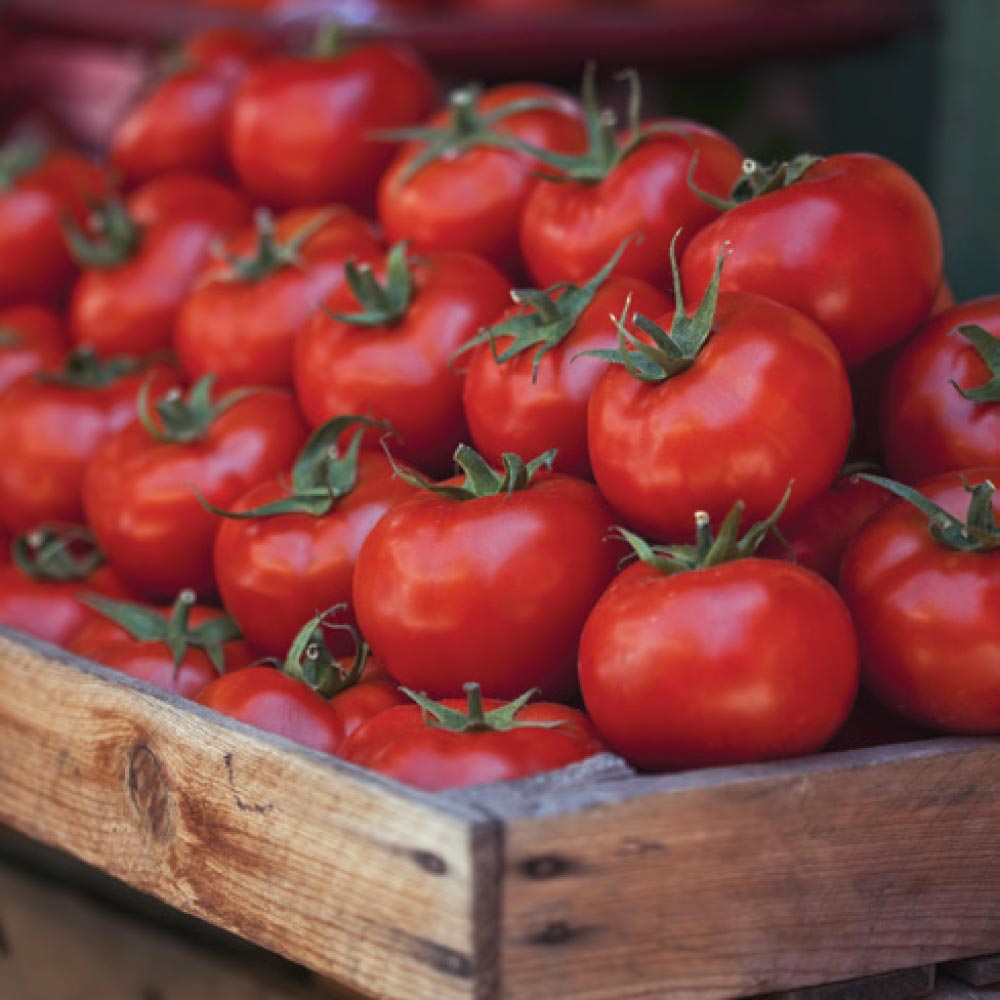 replete o tomatoes - True-Flo