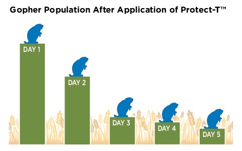 Gopher Chart - Protec-T